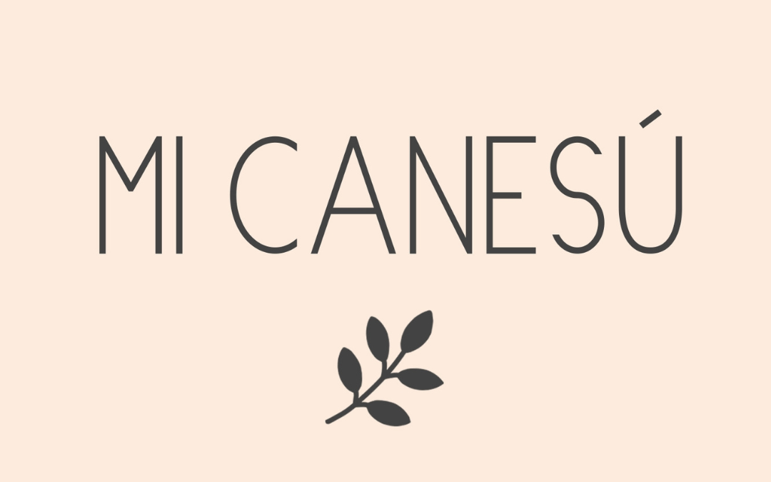 👀 Zoom sur la marque : Mi Canesú, l’élégance artisanale venue d’Espagne